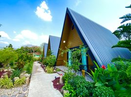 8 Schlafzimmer Hotel / Resort zu verkaufen in Mueang Nakhon Nayok, Nakhon Nayok, Sarika, Mueang Nakhon Nayok