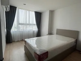 2 Schlafzimmer Wohnung zu vermieten im Ideo Rama 9 - Asoke, Huai Khwang, Huai Khwang, Bangkok, Thailand