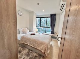 2 Schlafzimmer Wohnung zu vermieten im The Excel Hideaway Sukhumvit 50, Phra Khanong