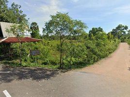  Land for sale in Prachantakham, Prachin Buri, Kham Tanot, Prachantakham