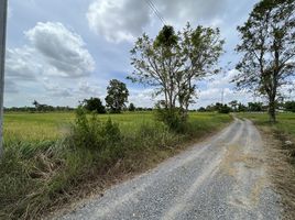  Land for sale in Si Mum, Mueang Nakhon Ratchasima, Si Mum