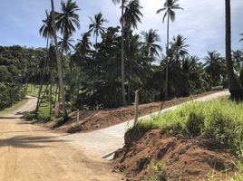  Grundstück zu verkaufen in Maenam, Surat Thani, Maenam