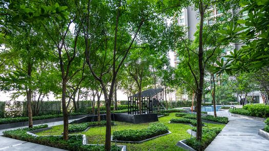 Photo 1 of the Communal Garden Area at Kensington Sukhumvit – Thepharak