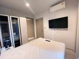 1 Schlafzimmer Wohnung zu vermieten im Life Asoke Rama 9, Makkasan, Ratchathewi