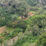 Grundstück zu verkaufen in Gianyar, Bali, Ubud, Gianyar