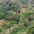  Land for sale in Ubud, Gianyar, Ubud