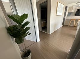 3 Schlafzimmer Wohnung zu verkaufen im Urbitia Thong Lo, Phra Khanong