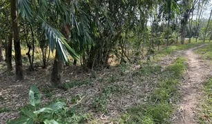 N/A Land for sale in Thai Buri, Nakhon Si Thammarat 