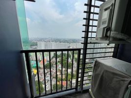 1 Bedroom Condo for rent at The Base Sukhumvit 77, Phra Khanong Nuea, Watthana