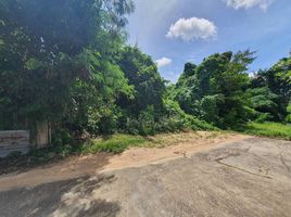  Land for sale in Phuket, Rawai, Phuket Town, Phuket