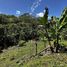  Land for sale in Montes De Oca San Jose, Montes De Oca, San Jose
