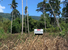  Grundstück zu verkaufen in Koh Samui, Surat Thani, Maret