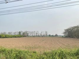  Land for sale in Nai Mueang, Sawankhalok, Nai Mueang