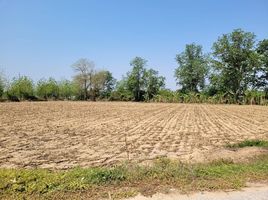  Land for sale in Khanu Woralaksaburi, Kamphaeng Phet, Khanu Woralaksaburi