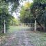 ขายที่ดิน ใน เหมืองจี้, ลำพูน, เหมืองจี้, เมืองลำพูน