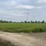  Land for sale in Chiang Mai, Buak Khang, San Kamphaeng, Chiang Mai