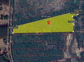  Land for sale in Lampang, Na Pong, Thoen, Lampang