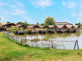  Land for sale in Sukhothai, Tanot, Khiri Mat, Sukhothai