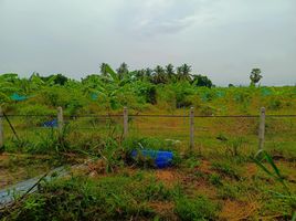  Grundstück zu verkaufen in Tha Yang, Phetchaburi, Khao Krapuk, Tha Yang