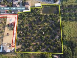  Land for sale in Chiang Mai, San Klang, San Kamphaeng, Chiang Mai