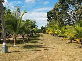  Land for sale in Cocle, Rio Hato, Anton, Cocle