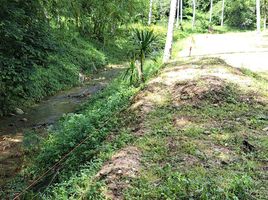  Grundstück zu verkaufen in Koh Samui, Surat Thani, Maret