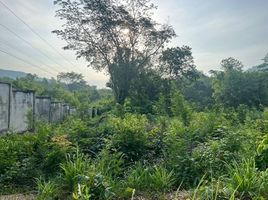  Land for sale in Kaeng Sopha, Wang Thong, Kaeng Sopha