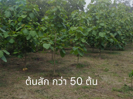  Земельный участок for sale in Sarika, Mueang Nakhon Nayok, Sarika