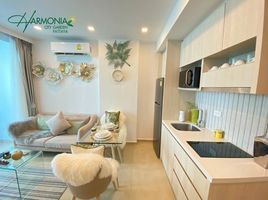 1 Schlafzimmer Appartement zu verkaufen im Harmonia City Garden, Nong Prue