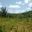  Land for sale in Careiro, Amazonas, Careiro