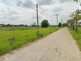  Land for sale in Samran Rat, Doi Saket, Samran Rat