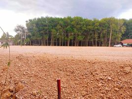  Land for sale in Ban Song, Wiang Sa, Ban Song