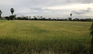 N/A Land for sale in Pho Ngam, Chai Nat 