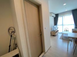 1 Bedroom Condo for rent at Rhythm Asoke 2, Makkasan