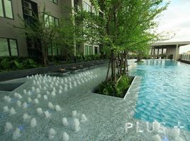 1 Bedroom Condo for rent at Blocs 77, Phra Khanong Nuea, Watthana, Bangkok, Thailand