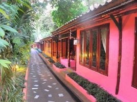 21 Schlafzimmer Hotel / Resort zu verkaufen in Koh Samui, Surat Thani, Bo Phut, Koh Samui