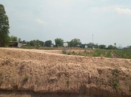  Land for sale in Sukhothai, Ban Kluai, Mueang Sukhothai, Sukhothai