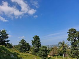  Land for sale in Chaweng Beach, Bo Phut, Bo Phut