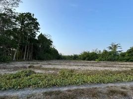  Grundstück zu verkaufen in Thai Mueang, Phangnga, Thai Mueang, Thai Mueang, Phangnga