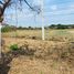  Land for sale in Sakon Nakhon, Waritchaphum, Waritchaphum, Sakon Nakhon