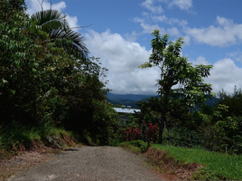  Land for sale in Puntarenas, Aguirre, Puntarenas