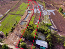  Land for sale in Nakhon Ratchasima, Nai Mueang, Phimai, Nakhon Ratchasima