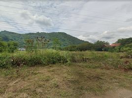  Land for sale in Pak Chong, Nakhon Ratchasima, Nong Nam Daeng, Pak Chong