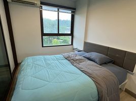 1 Schlafzimmer Appartement zu vermieten im ZCAPE III, Wichit