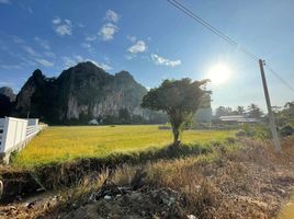  Grundstück zu verkaufen in Noen Maprang, Phitsanulok, Ban Mung, Noen Maprang