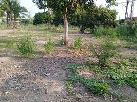  Land for sale in Phuket, Chalong, Phuket Town, Phuket