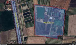 N/A Land for sale in Wang Nam Sap, Suphan Buri 