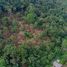  Land for sale in Surat Thani, Maenam, Koh Samui, Surat Thani