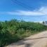  Land for sale in Prachuap Khiri Khan, Nong Kae, Hua Hin, Prachuap Khiri Khan