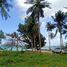  Land for sale in Surat Thani, Koh Samui, Surat Thani